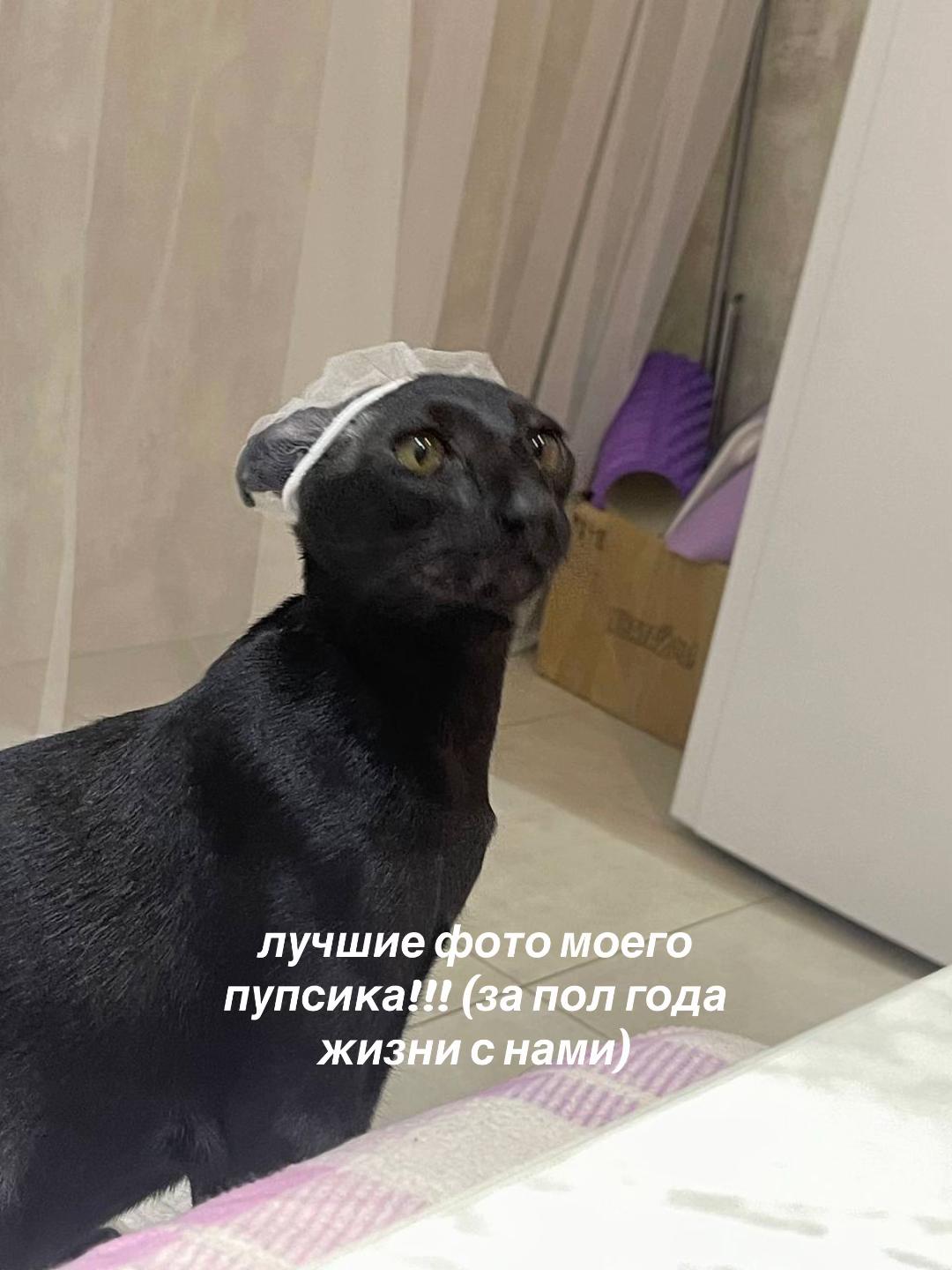 @Алина|Дорогой, я читаю💅