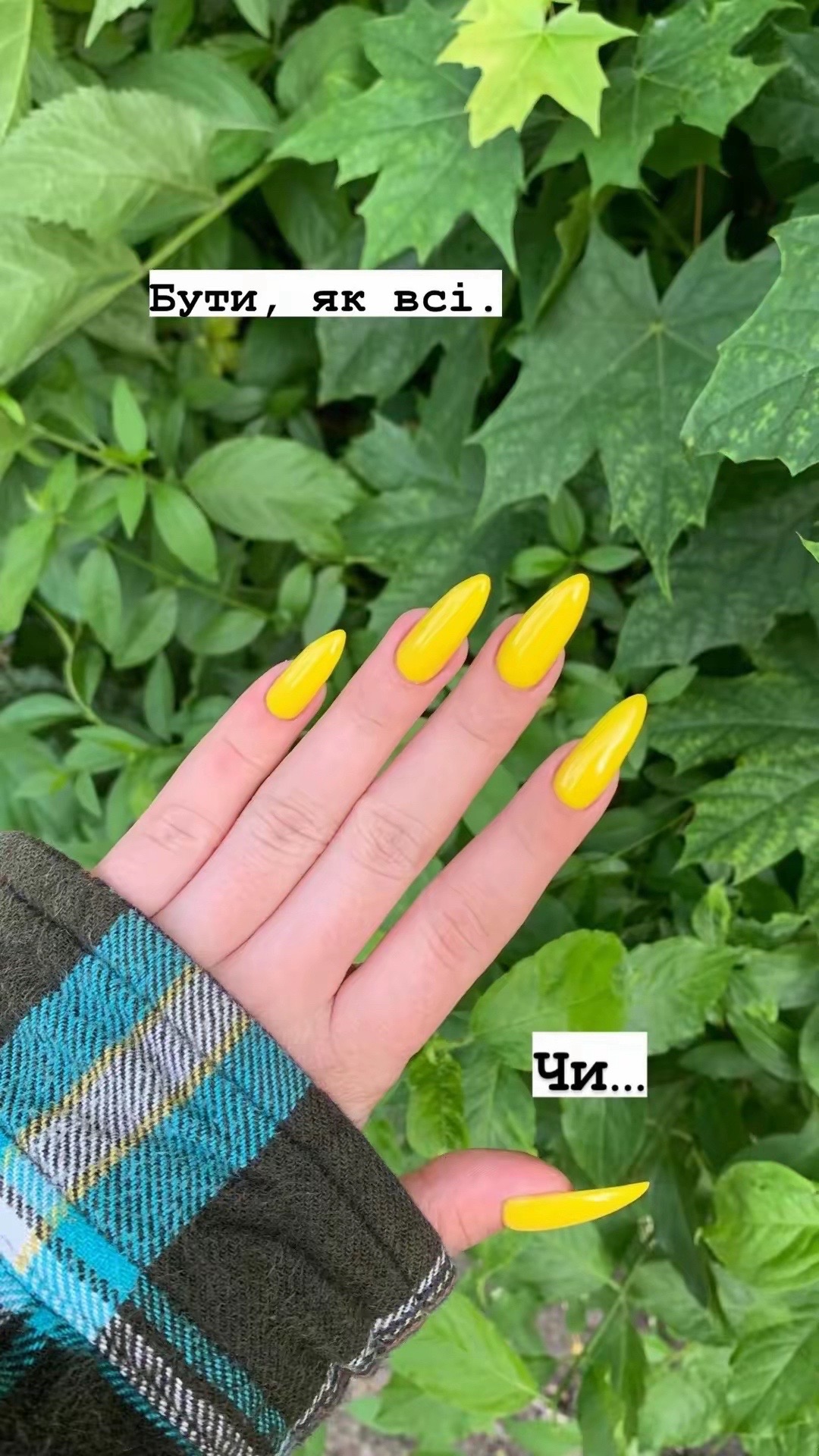 @• PALIANYTSIA • 🇺🇦