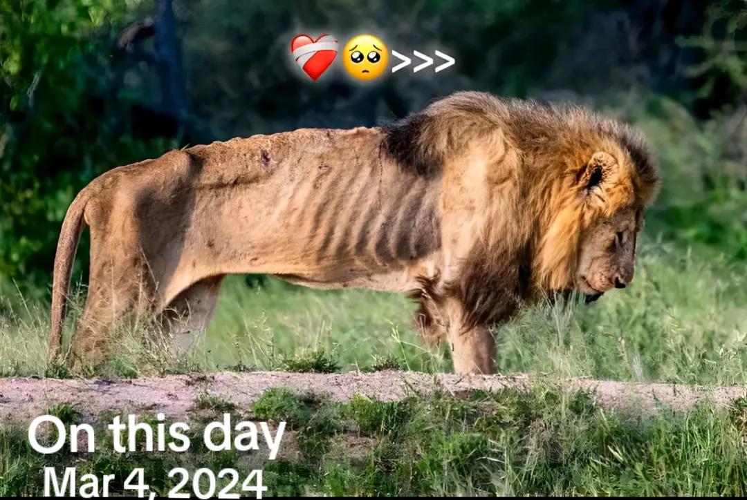 @𝗔 𝗥 𝗜 𝗙 👀🌸