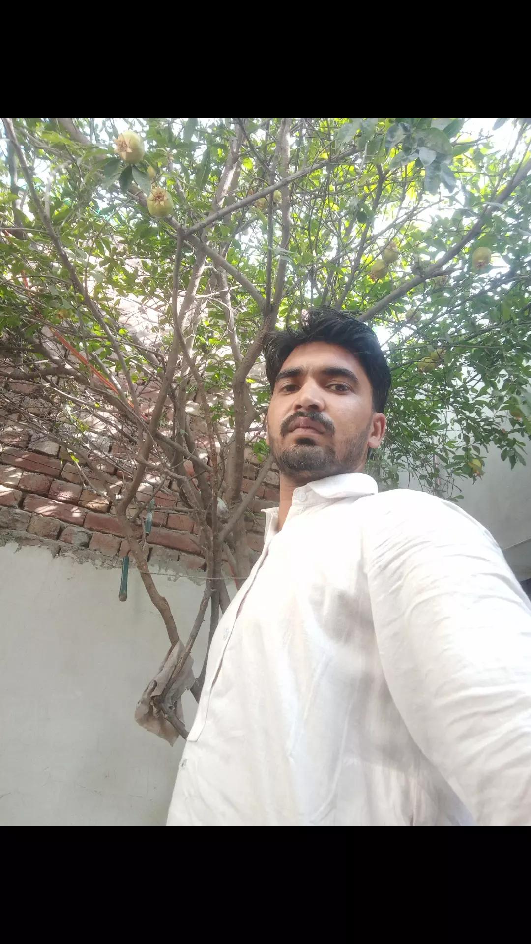 @Laadla Shah