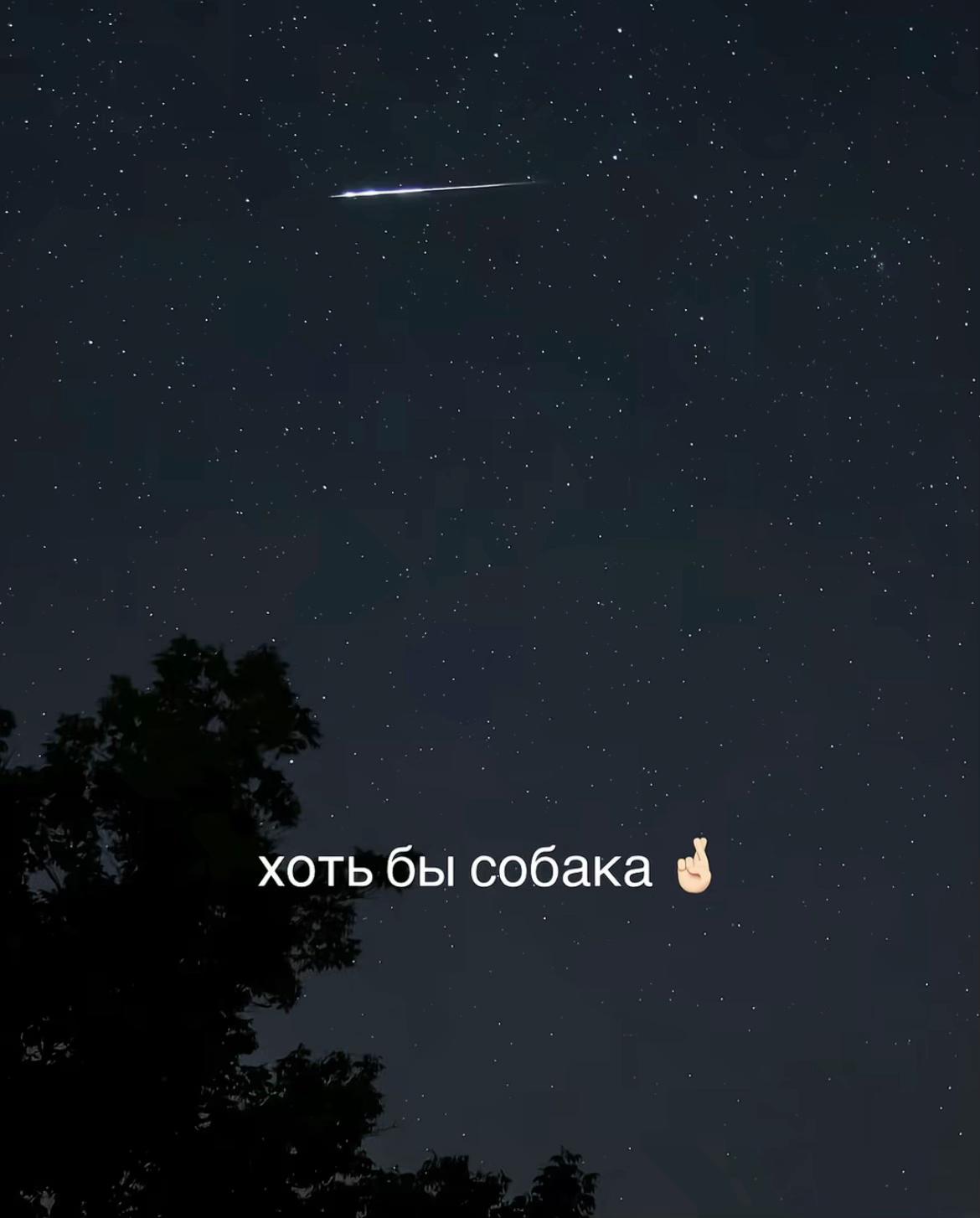@Алия 💗