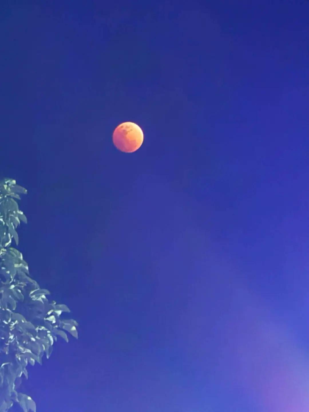 @𝑪𝑨𝑹.𝑳𝑶