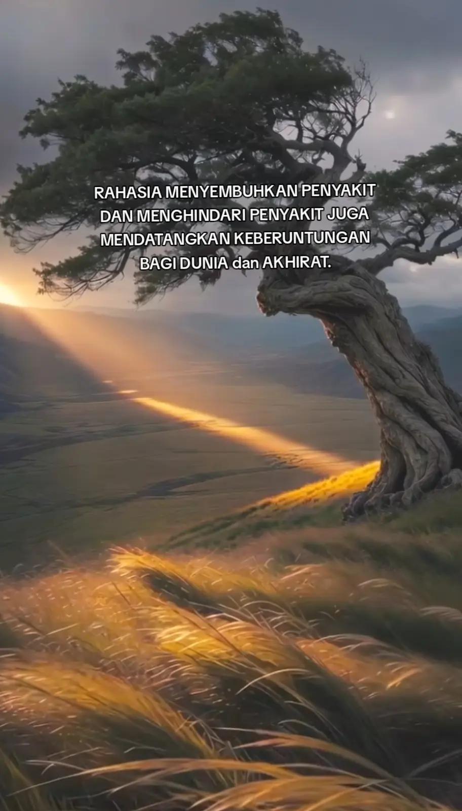 @Hamba اَللهُ