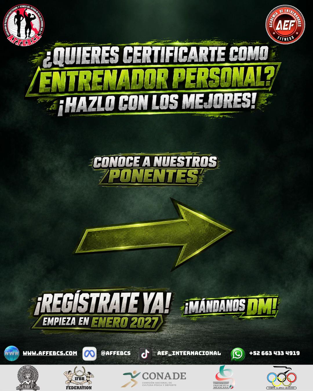 @aef_internacional