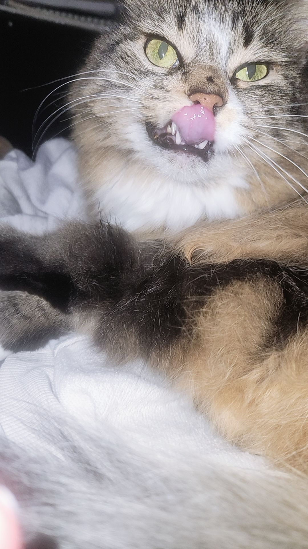 @𝗦𝘂𝗻𝗻𝘆