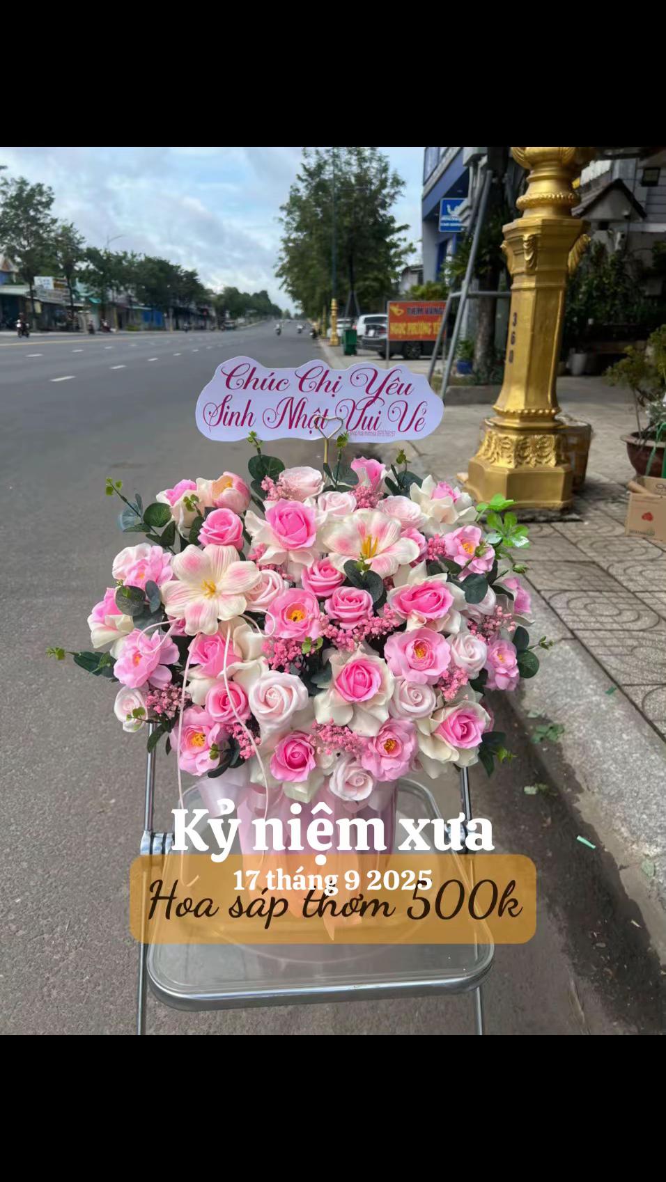 @Shop hoa MIMOSA TÂY NINH CŨ