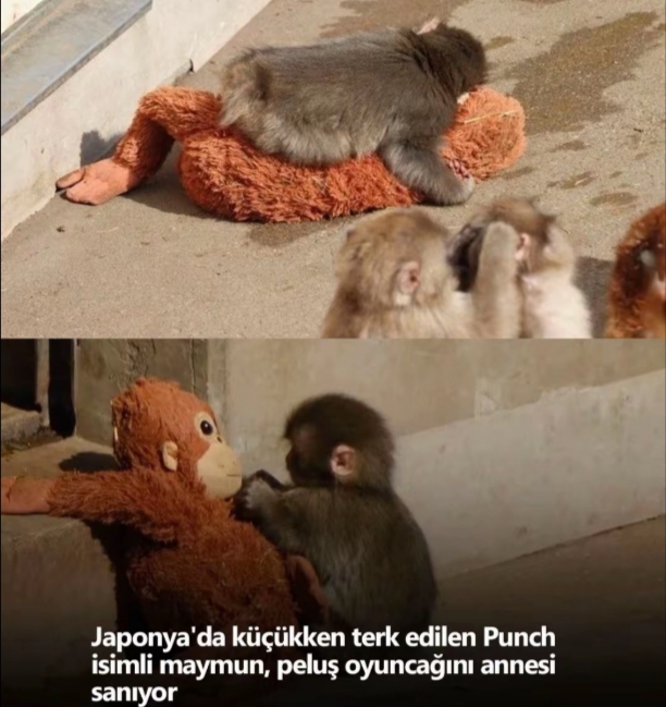@✓kozmikansiklopedisi