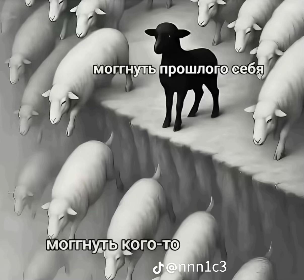 @Лысый