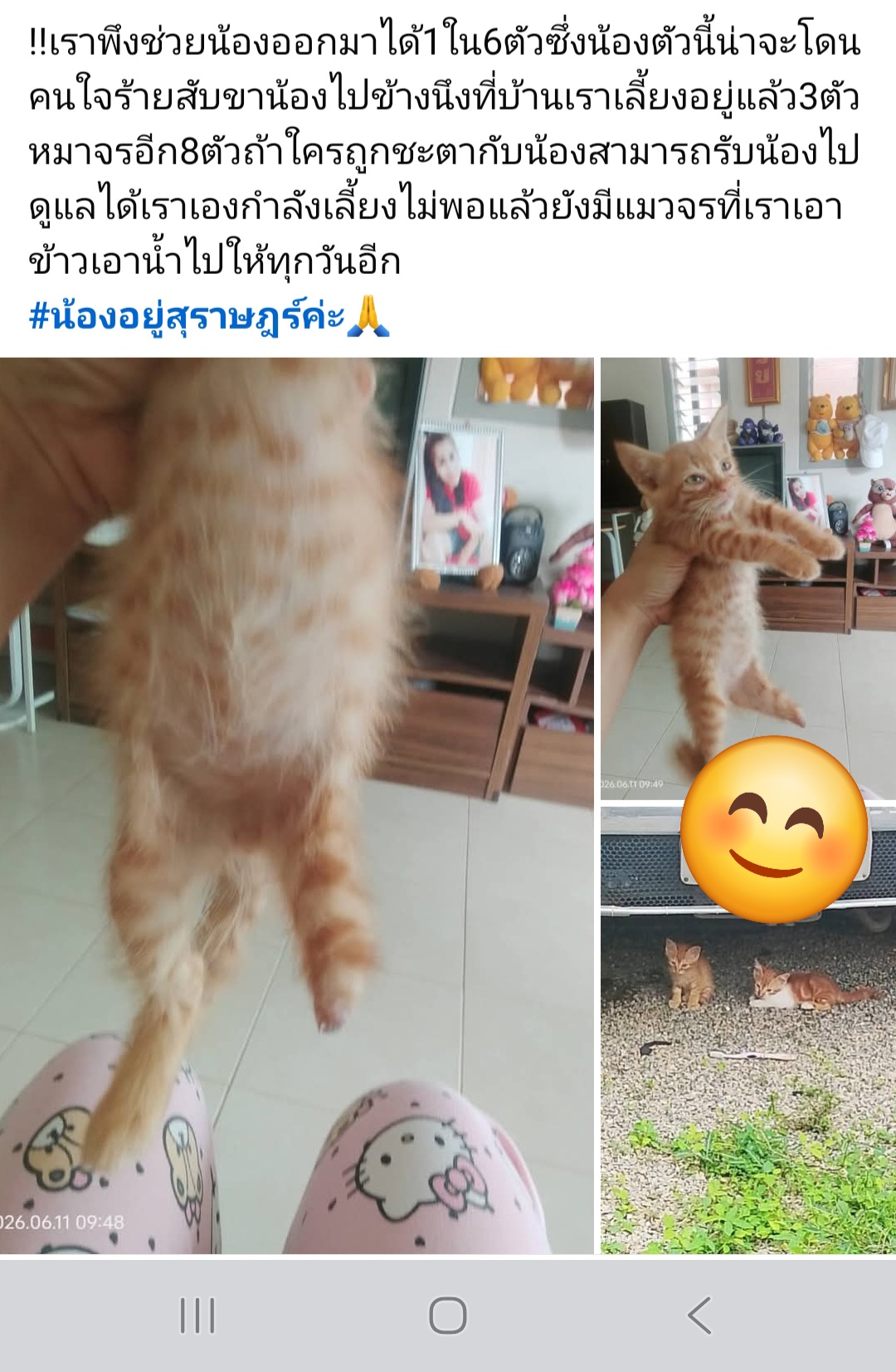 @ผึ้งน้อย🐝💜