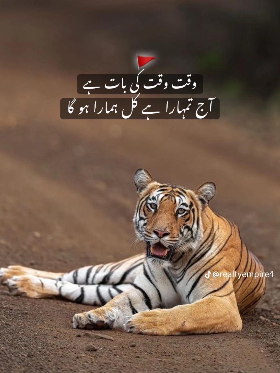 @💯علی بادشاہ😎