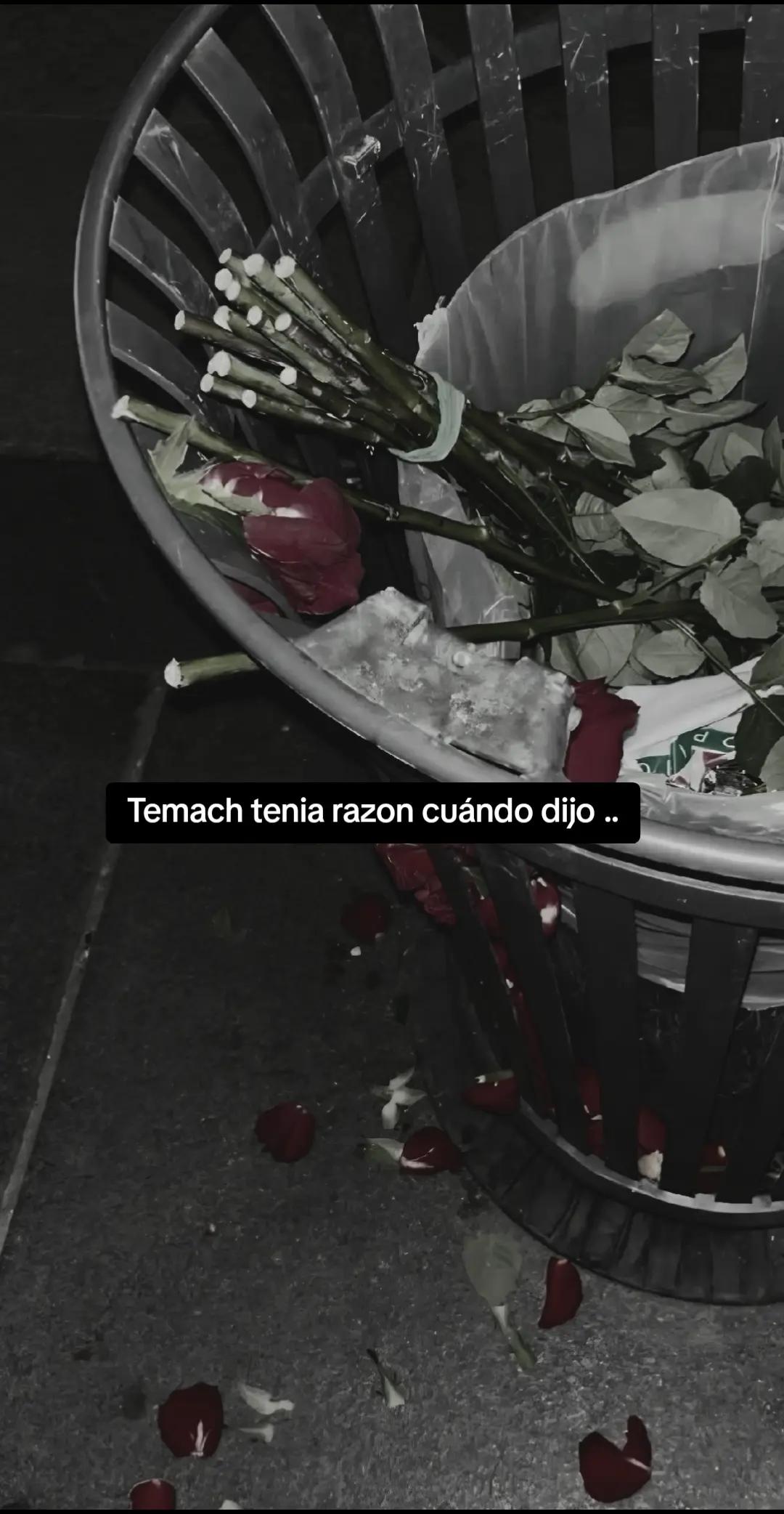 @Deyb Solis