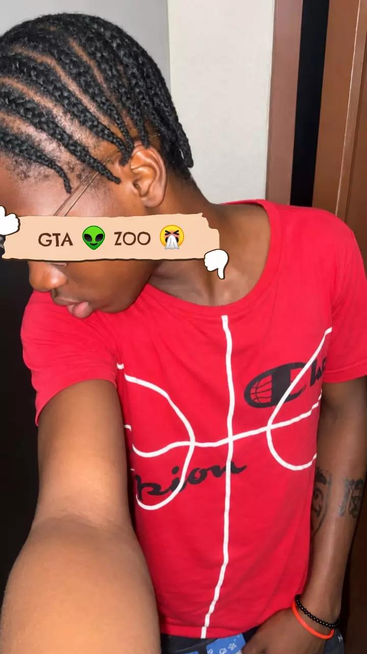 @GTA95 ZOO