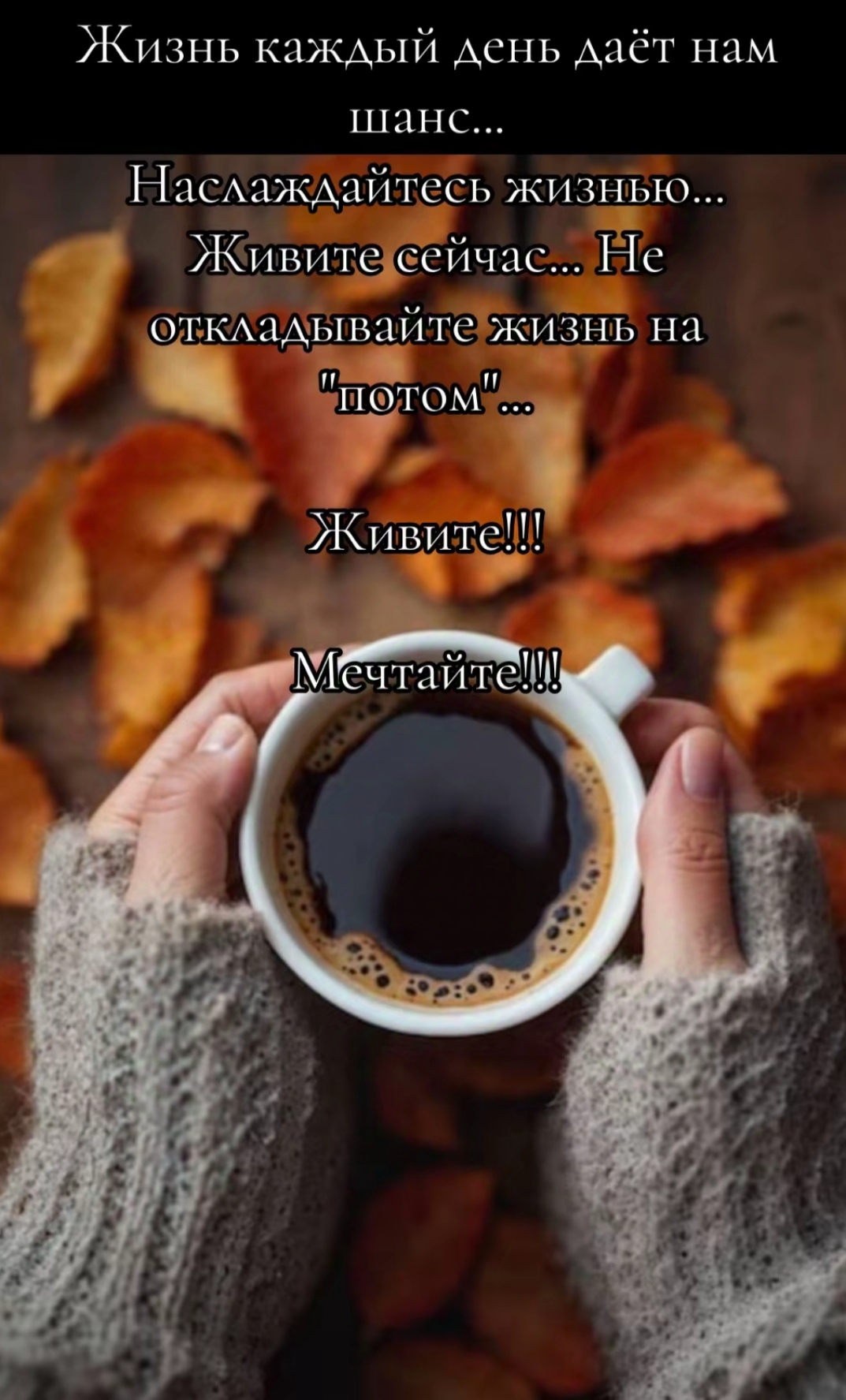 @ksuferder