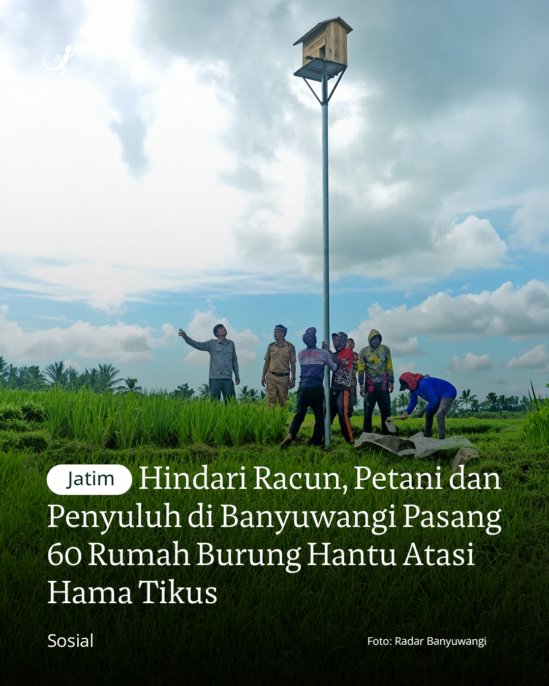 @mongabayindonesia