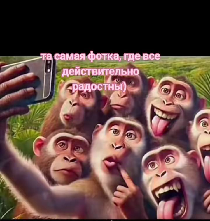 @Tairk52