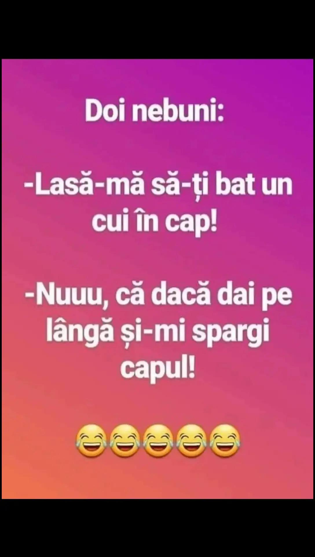 @stelutaturtoi