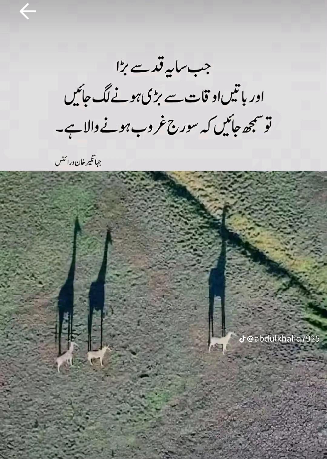 @꧁💞☬دیپالپور والا☬💞꧂