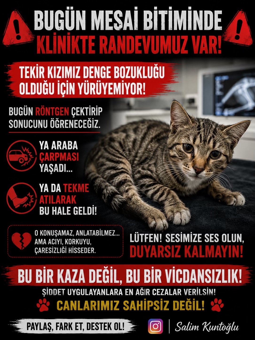 @Salim Kuntoğlu