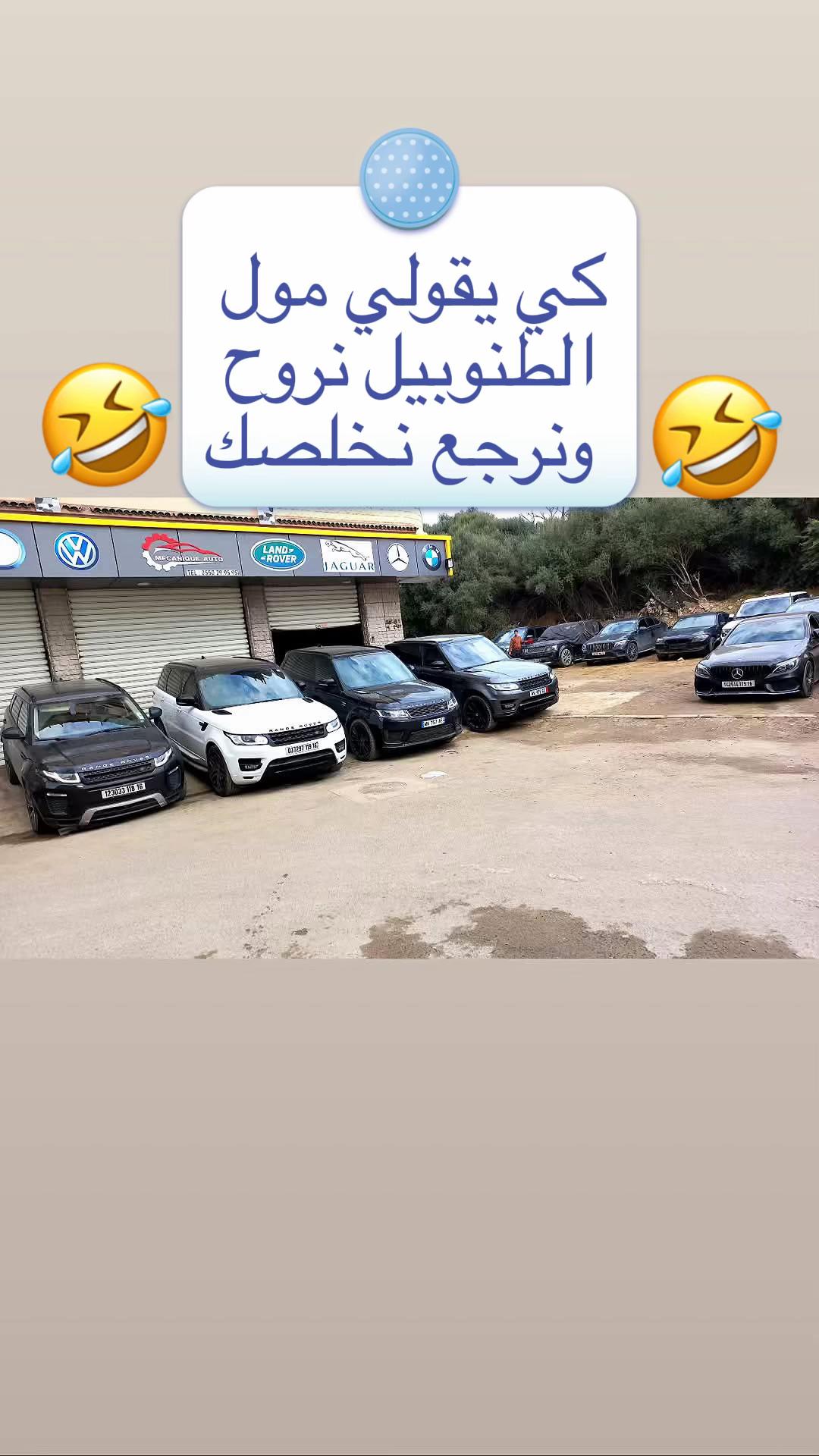 @toutou rangerover