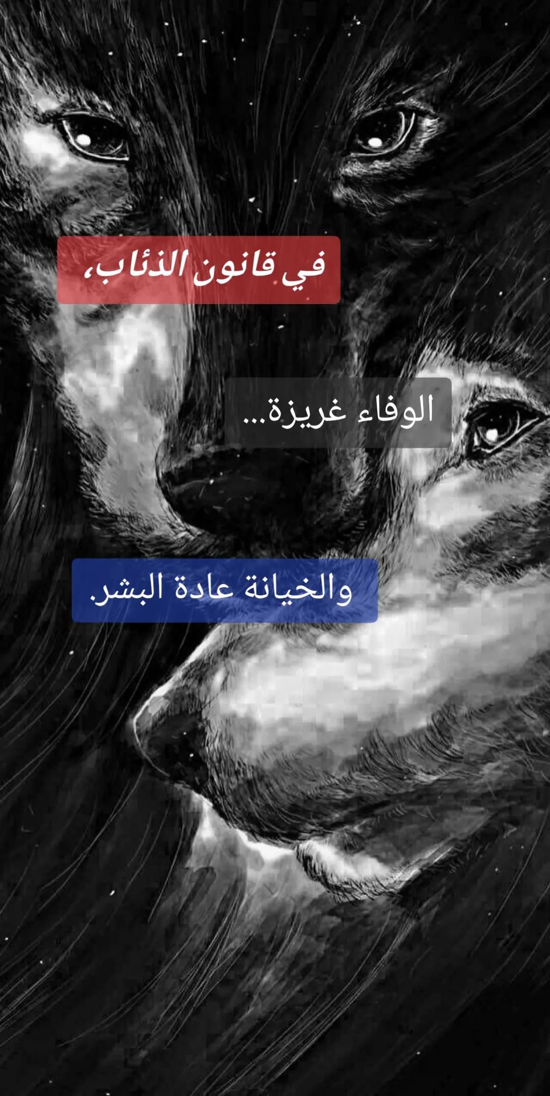 @aziz masri