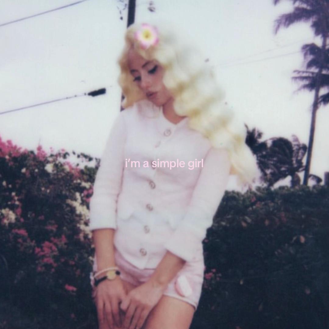 @｡⋆🌺˚