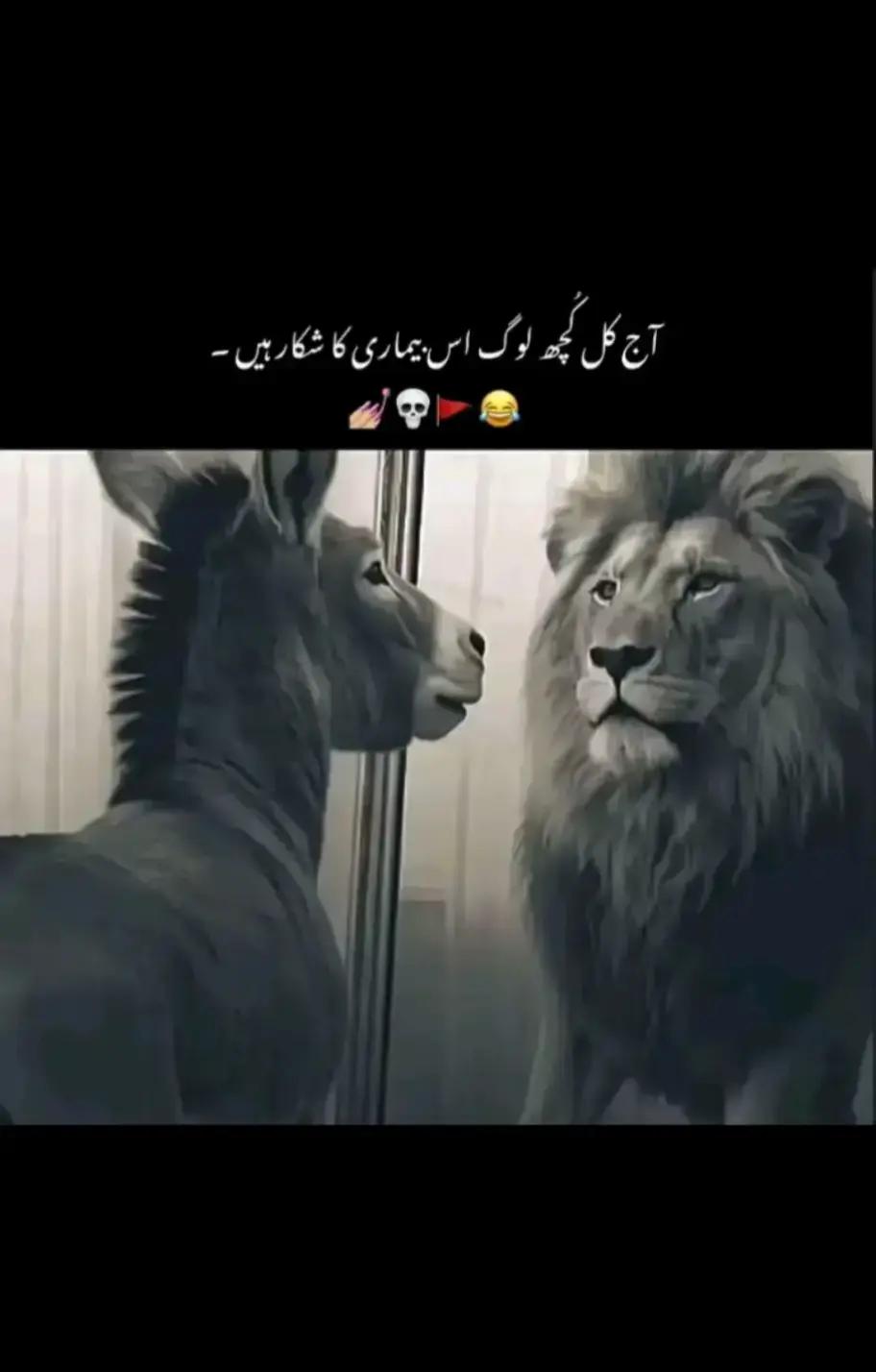 @Mazhar Lalian Ala