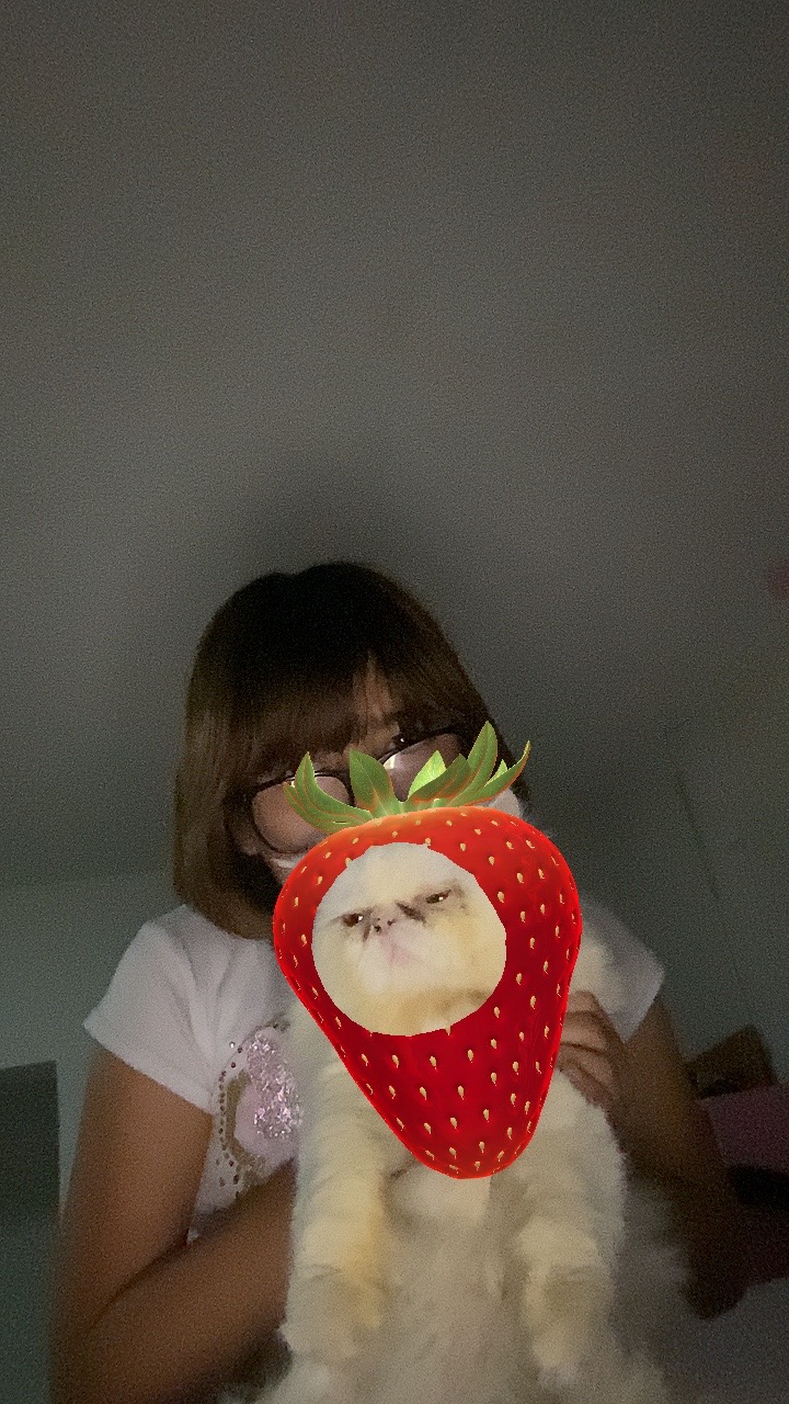 @*＊✿❀ M&iacute;ch❀✿＊*chacha*~