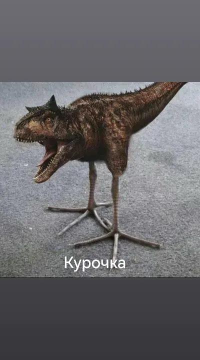 @ДМИТРИЙ РУБИТЬ КРОМСАТЬ