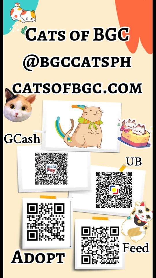 @Cats of BGC