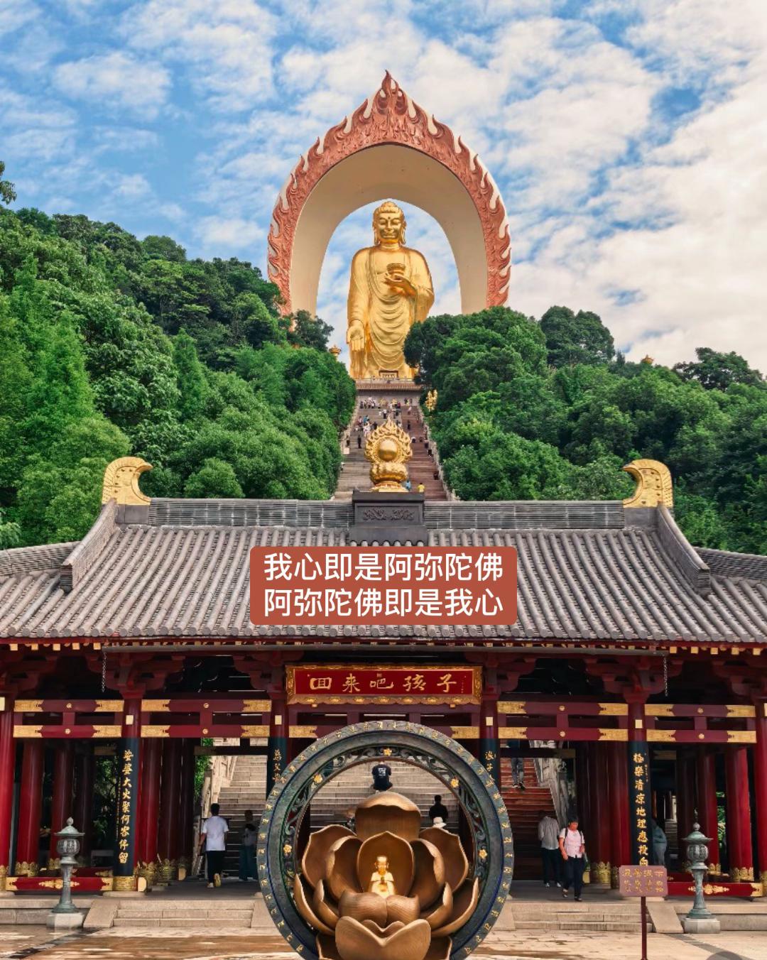 @净心