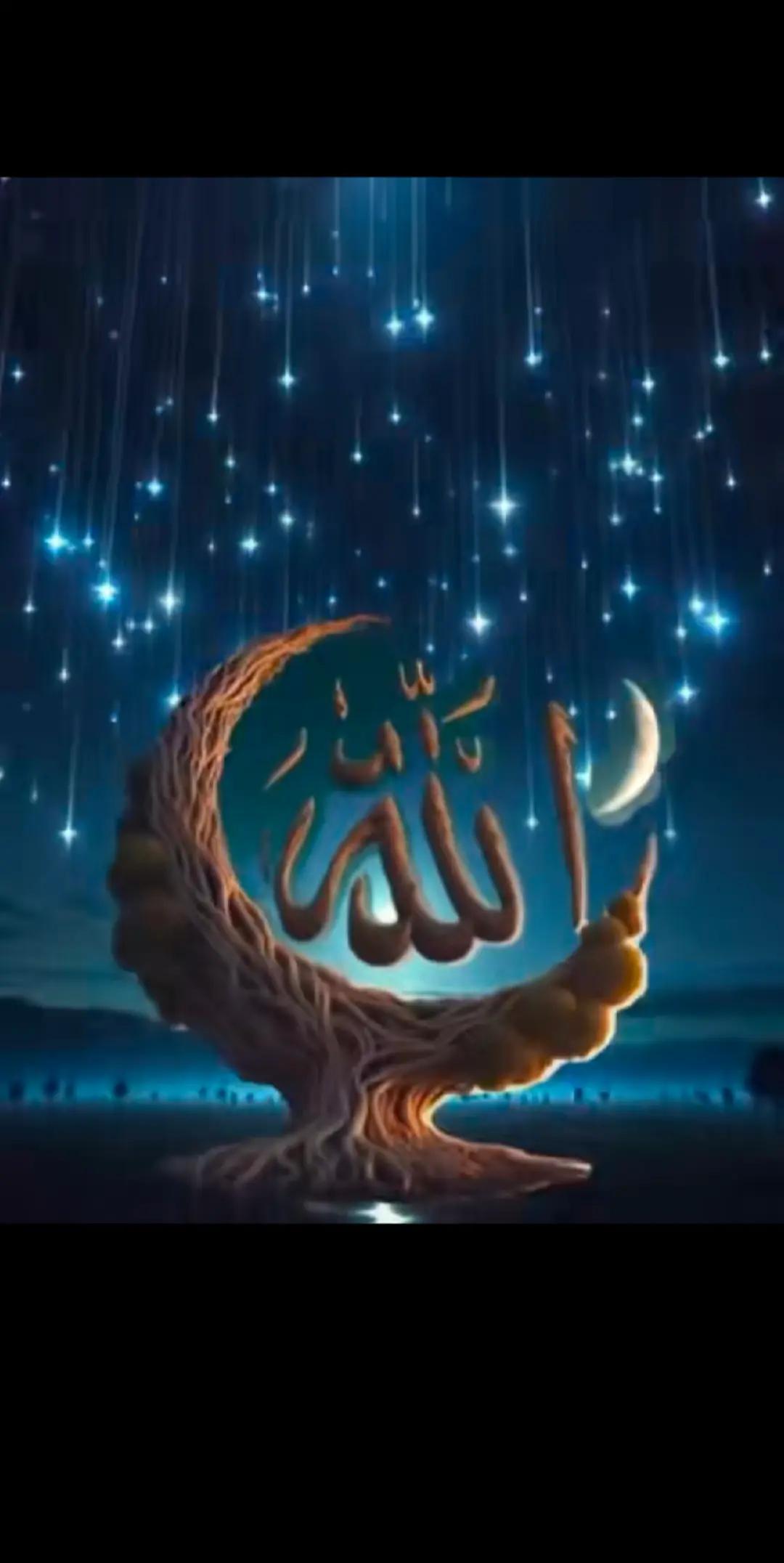 @AliRaza313