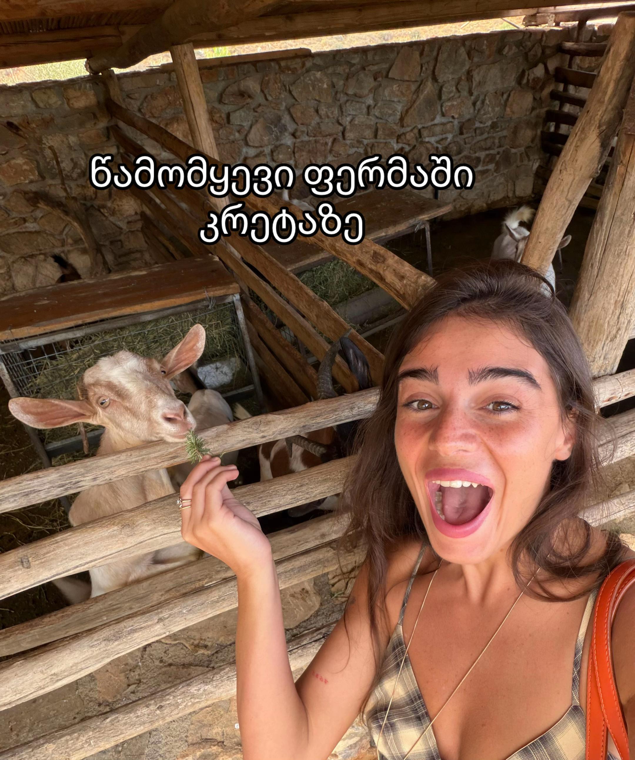 @Salome Toshkua