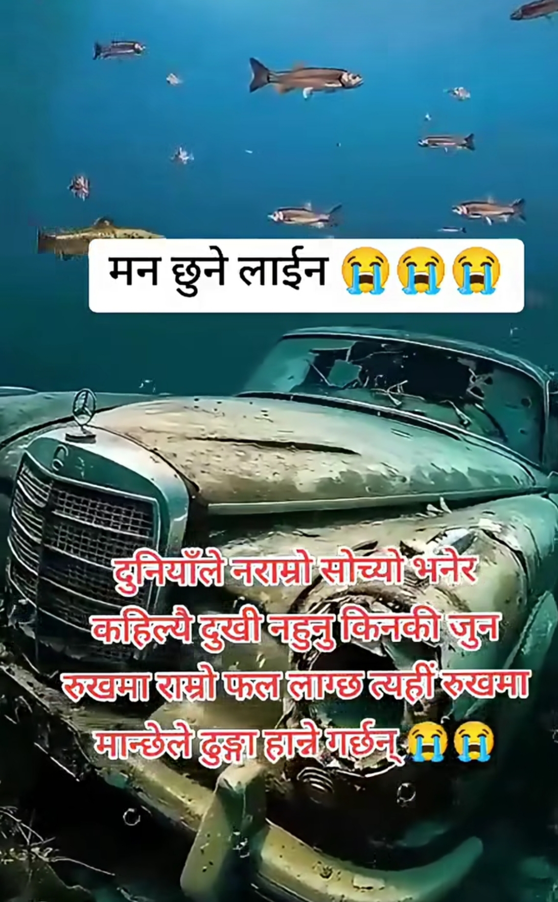 @syanu MN❤❤❤🇳🇵💋manoj