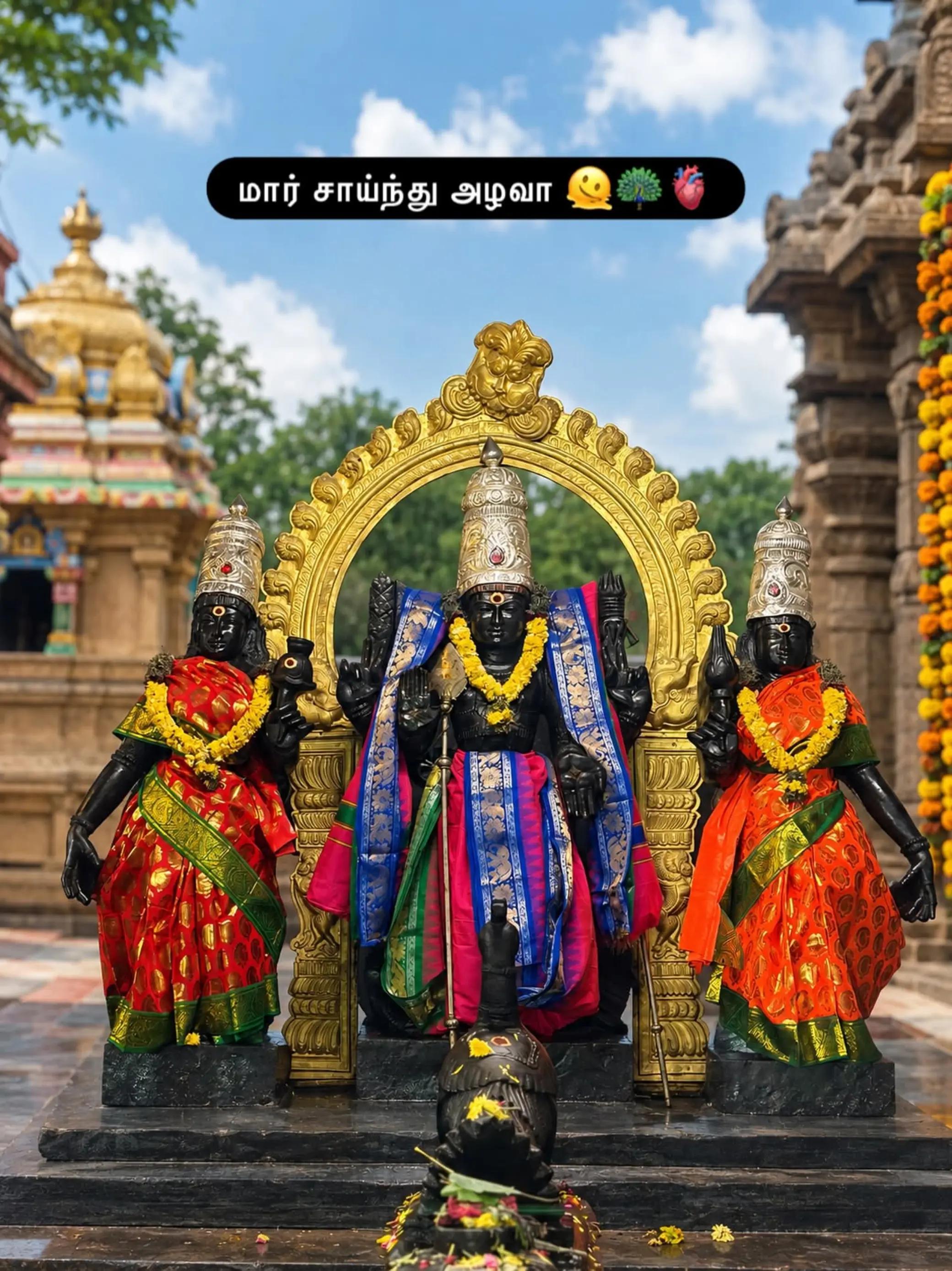 @Mr.Piratheep✌️🇱🇰
