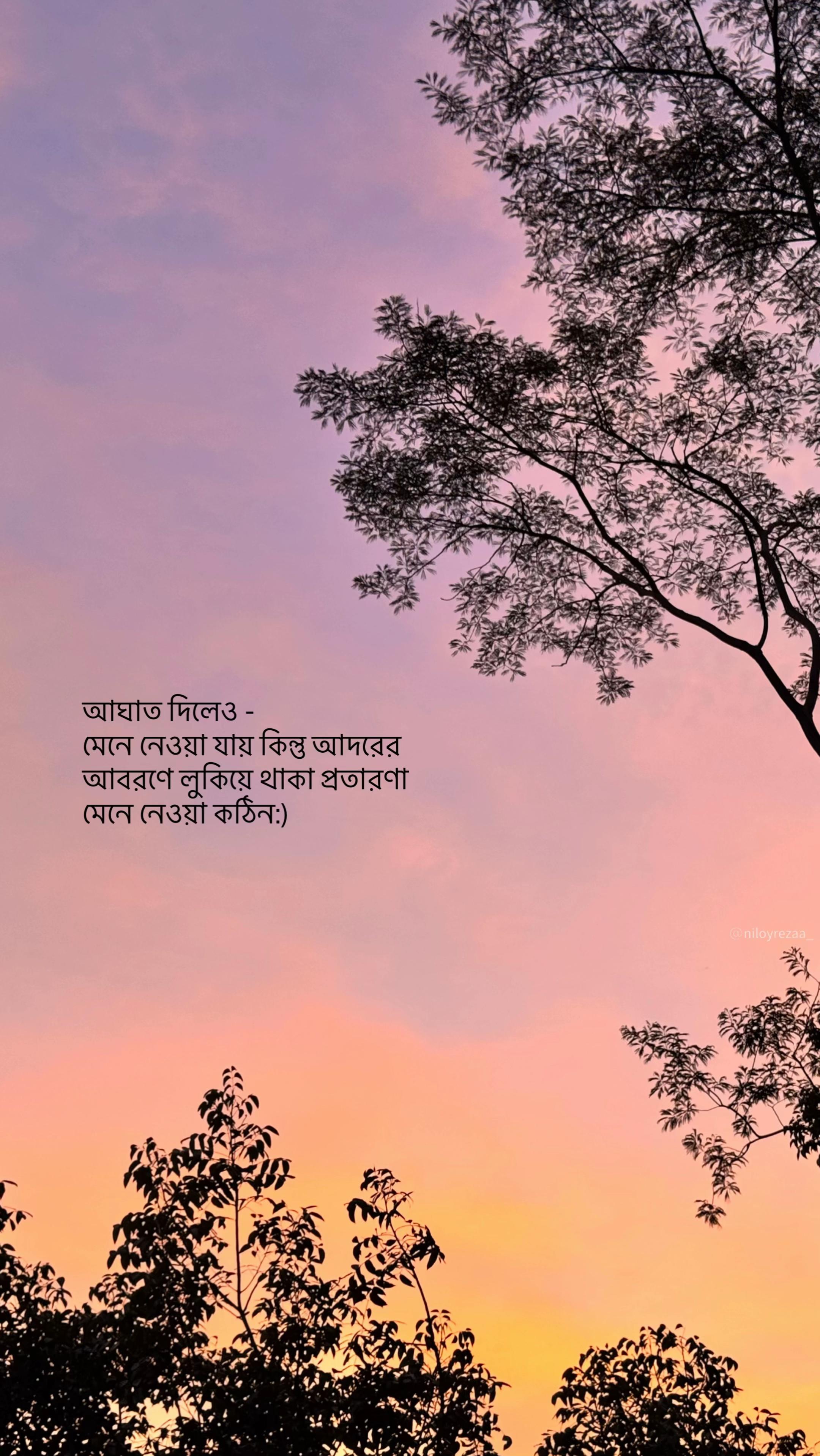 @NI LOY ๐๏ธ