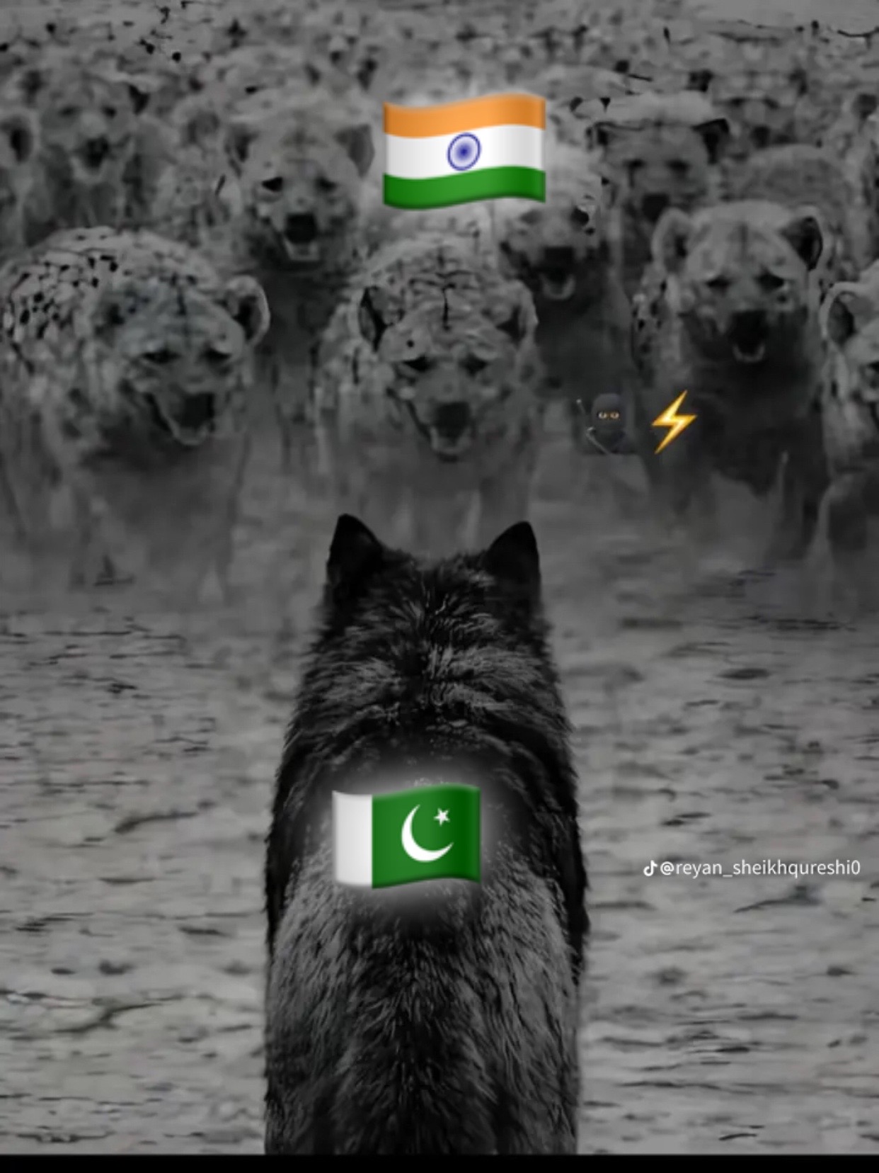 @🦁 It's AHMAD 🥇