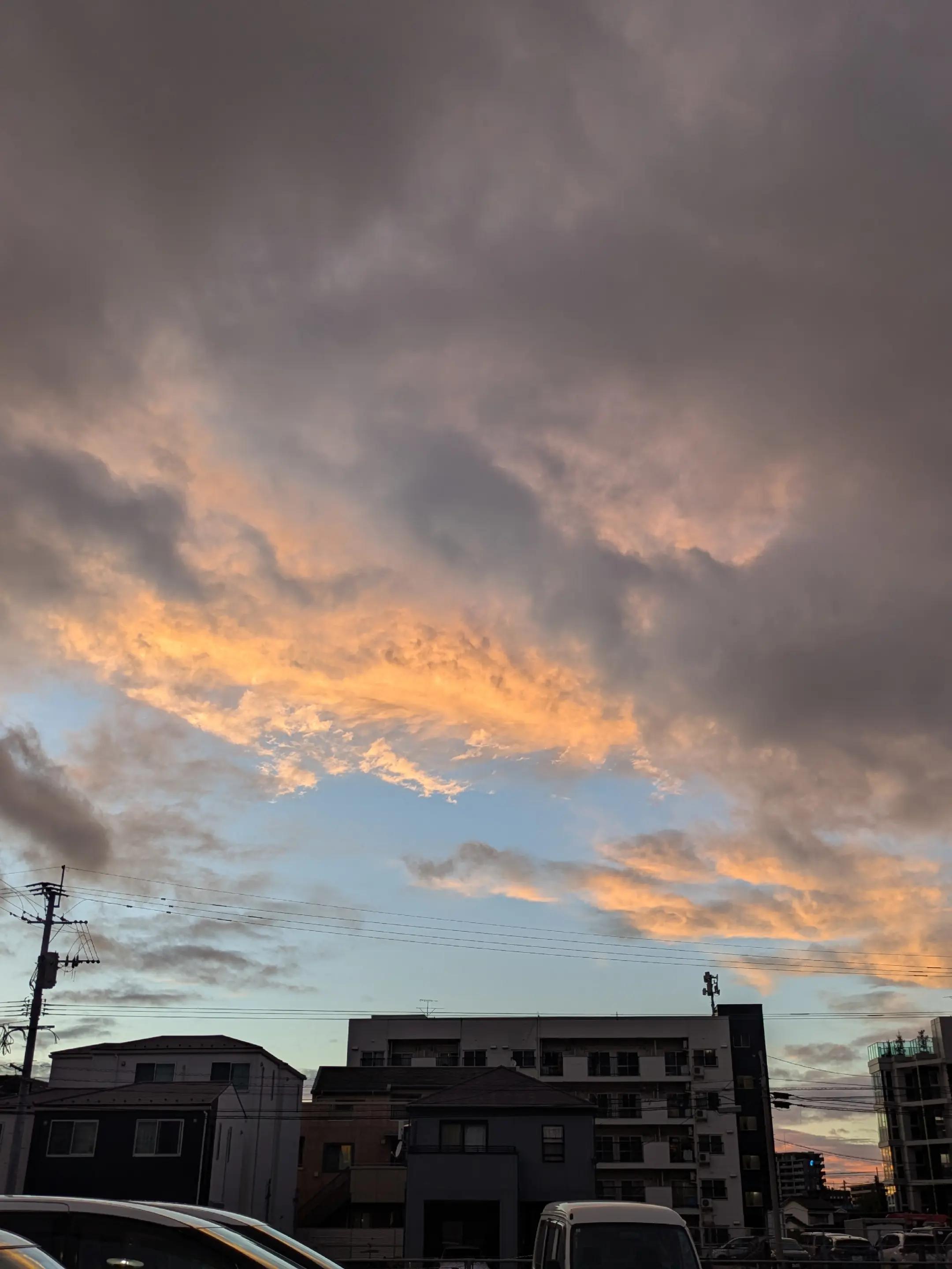 @名無し