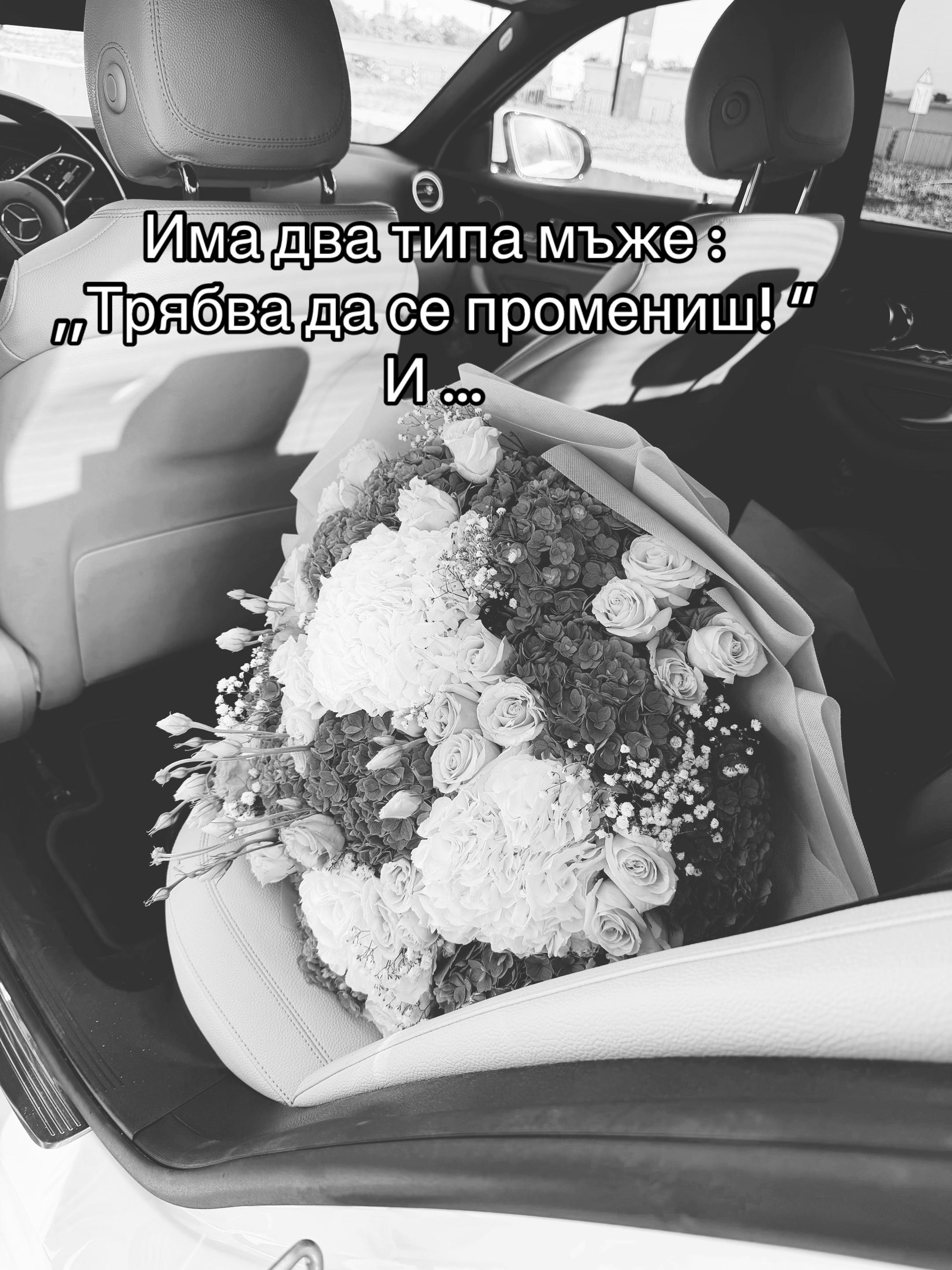 @Тедислава Дикмова