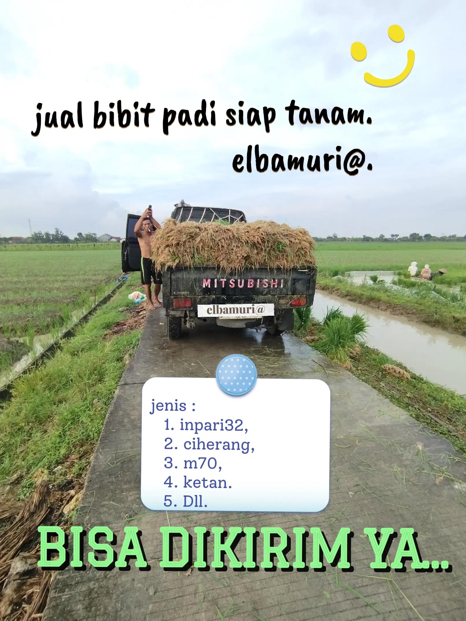 @elbamuria
