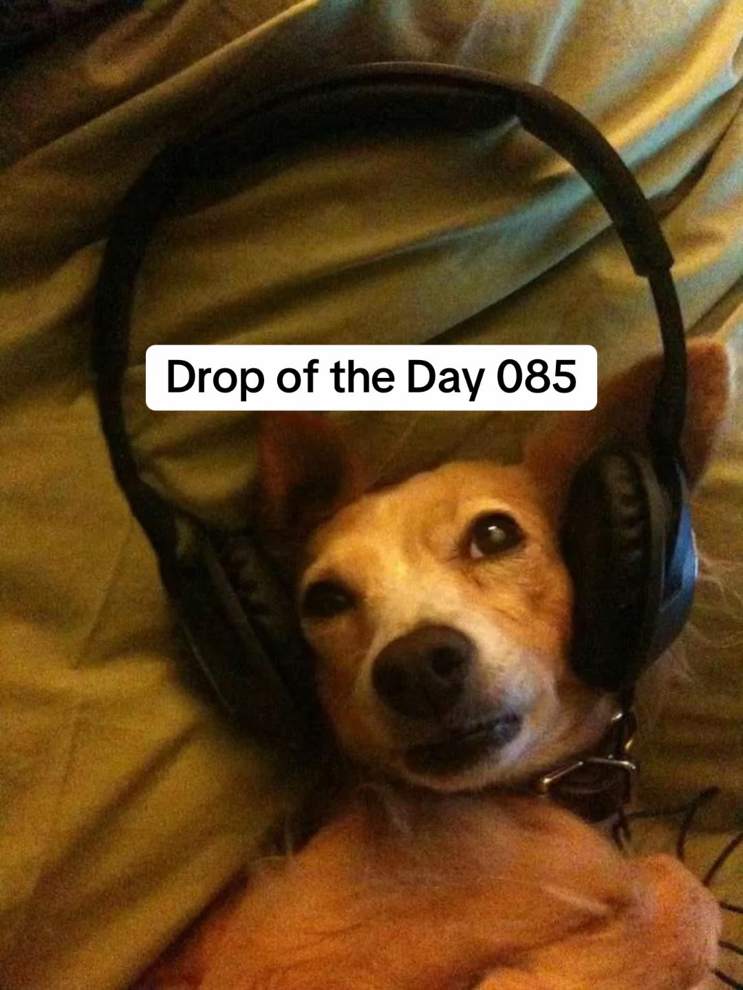 @Bass Hive