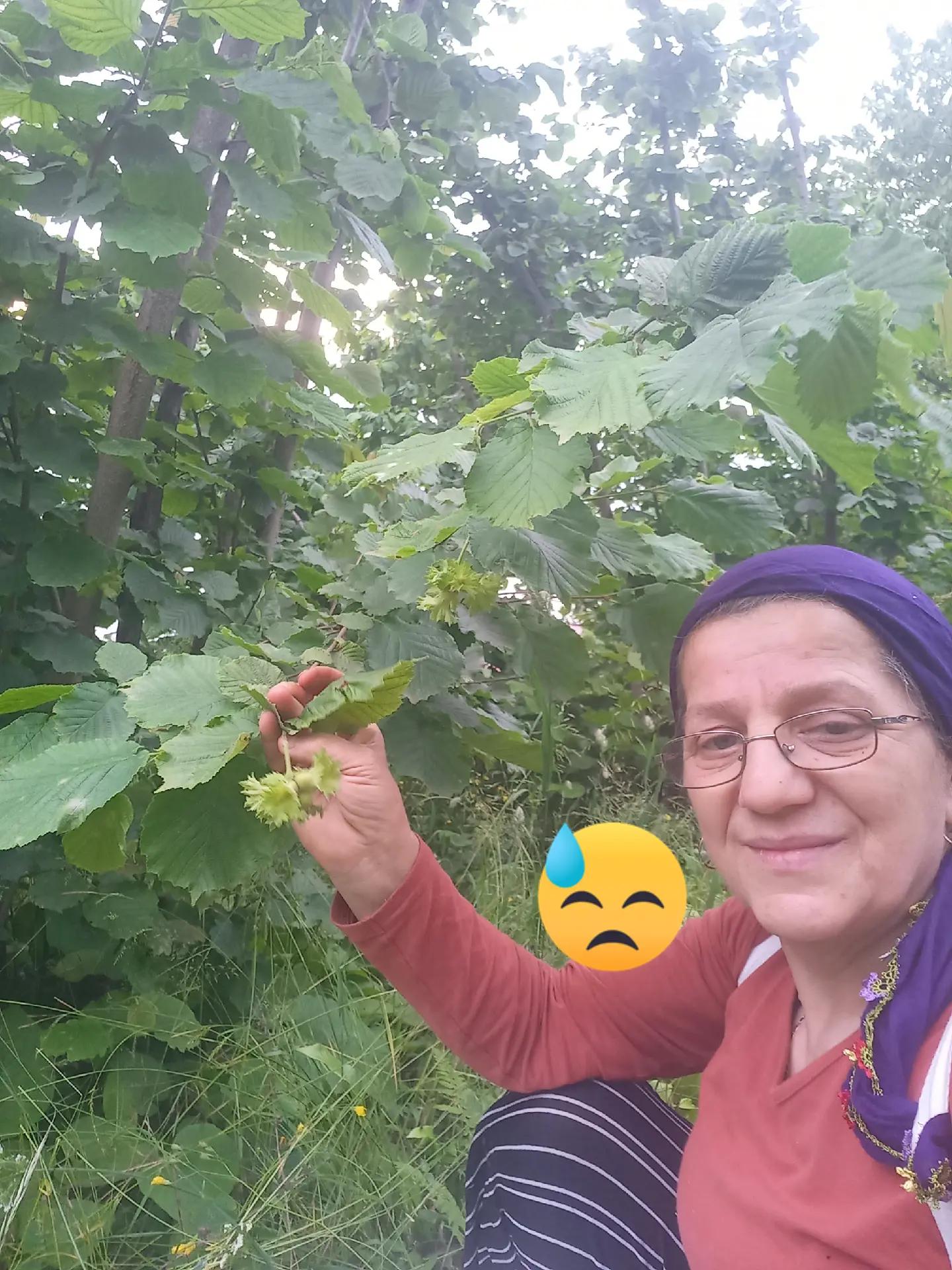 @ordu5252