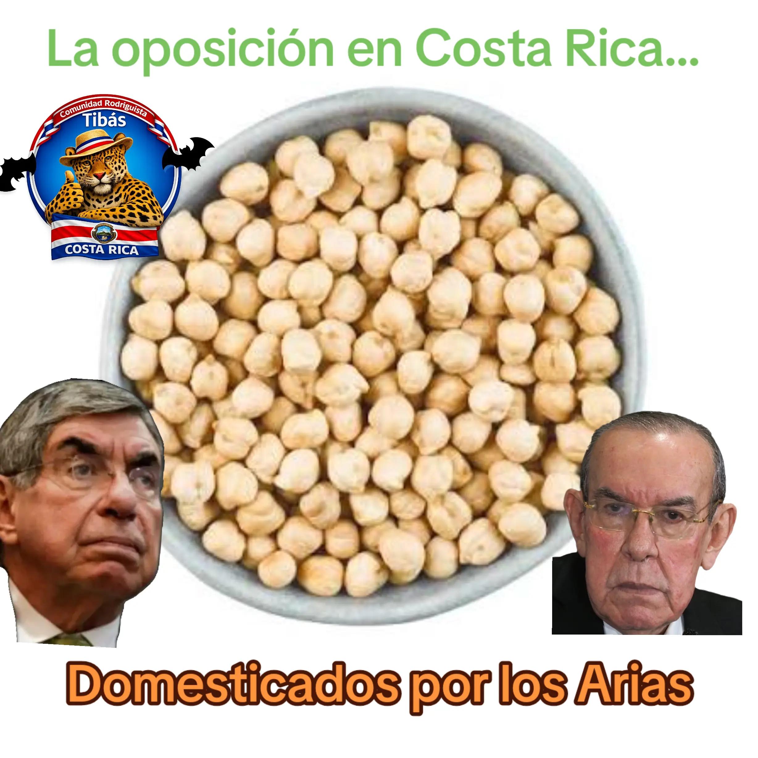 @Comunidad Rodriguista Tib&aacute;s