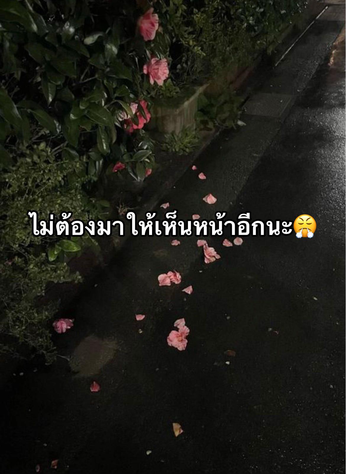 @ของเล่นกุหลาบ🤑