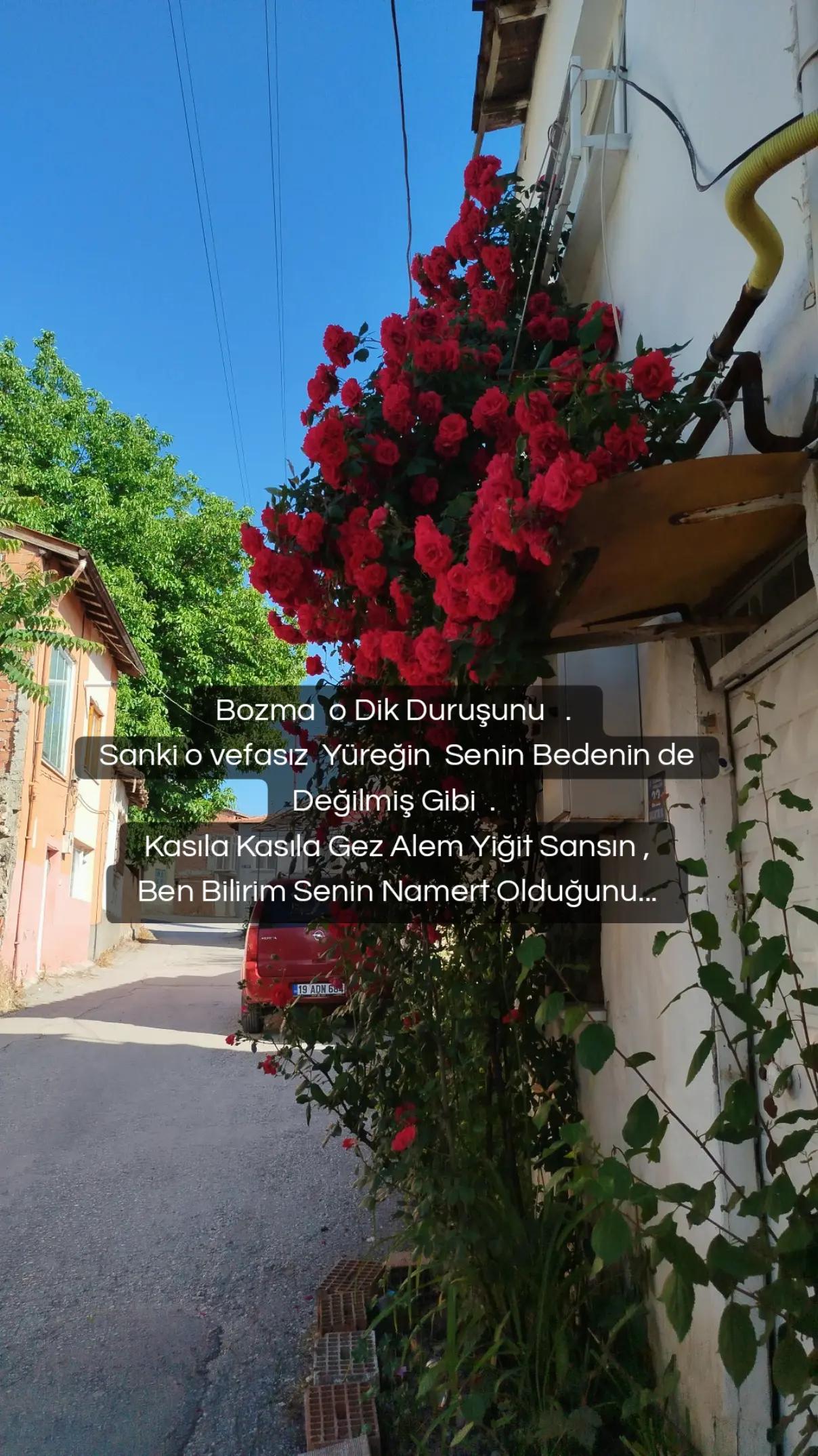@Türkan kaya