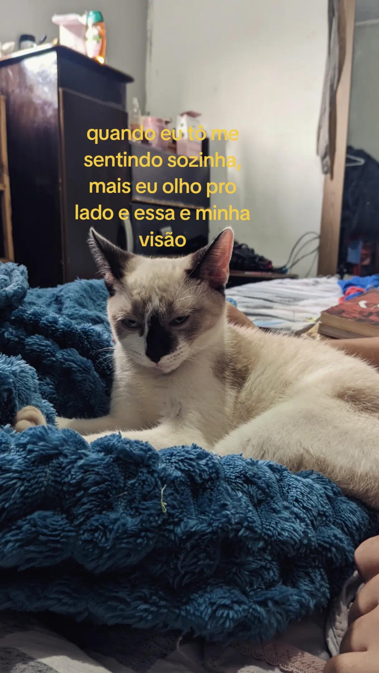 @_itss.tai