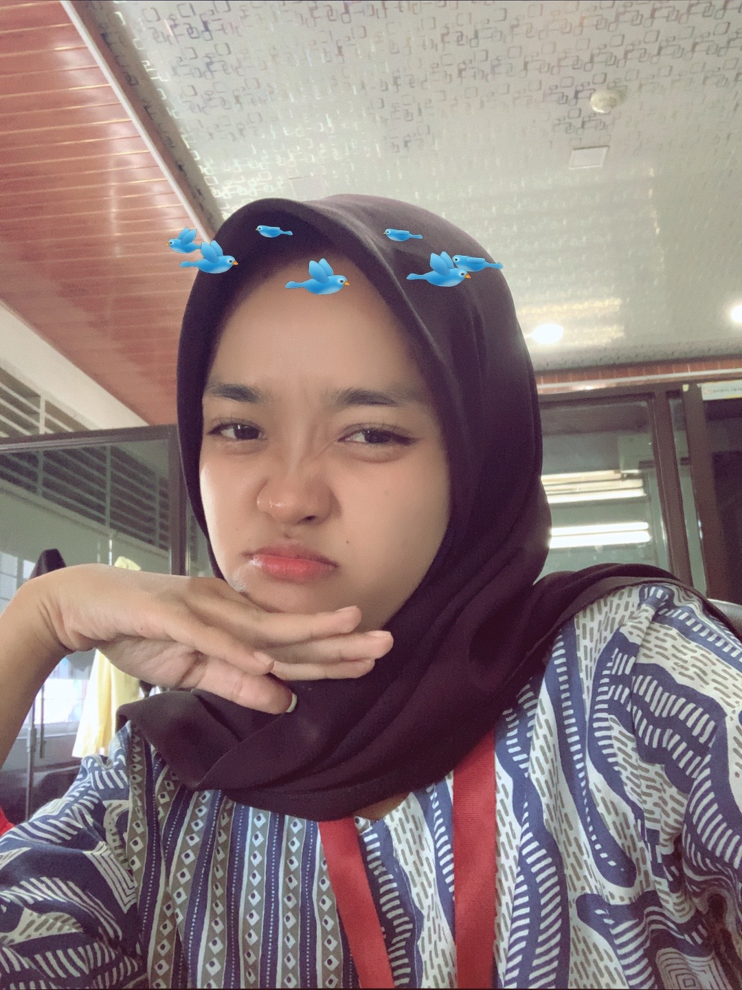 @nopaa