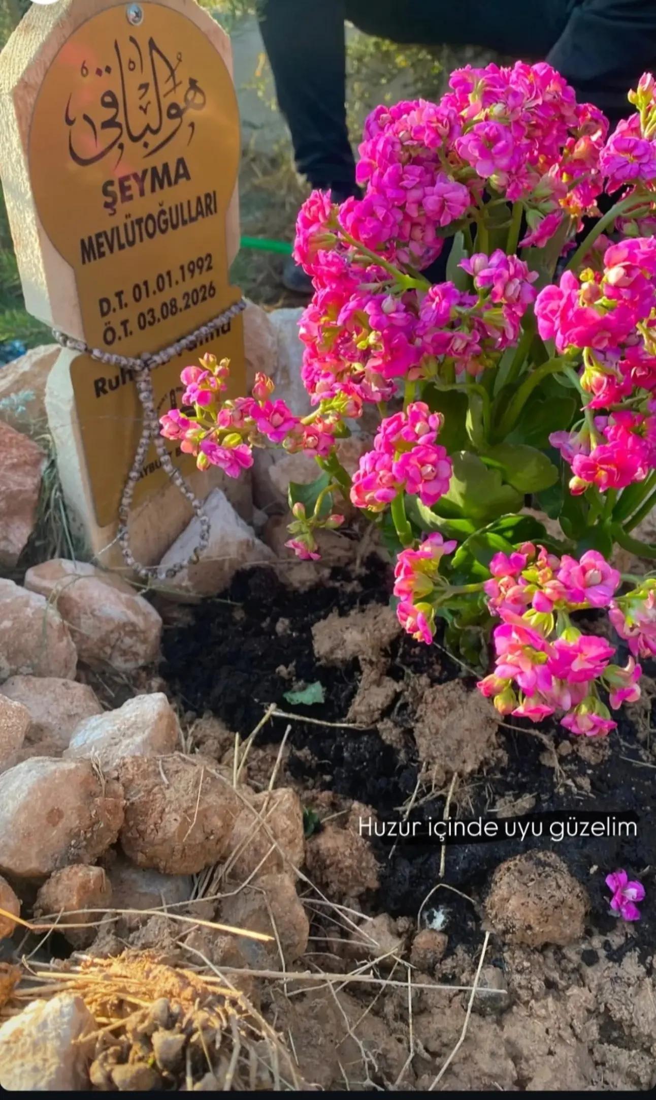 @Arif Yıldırım