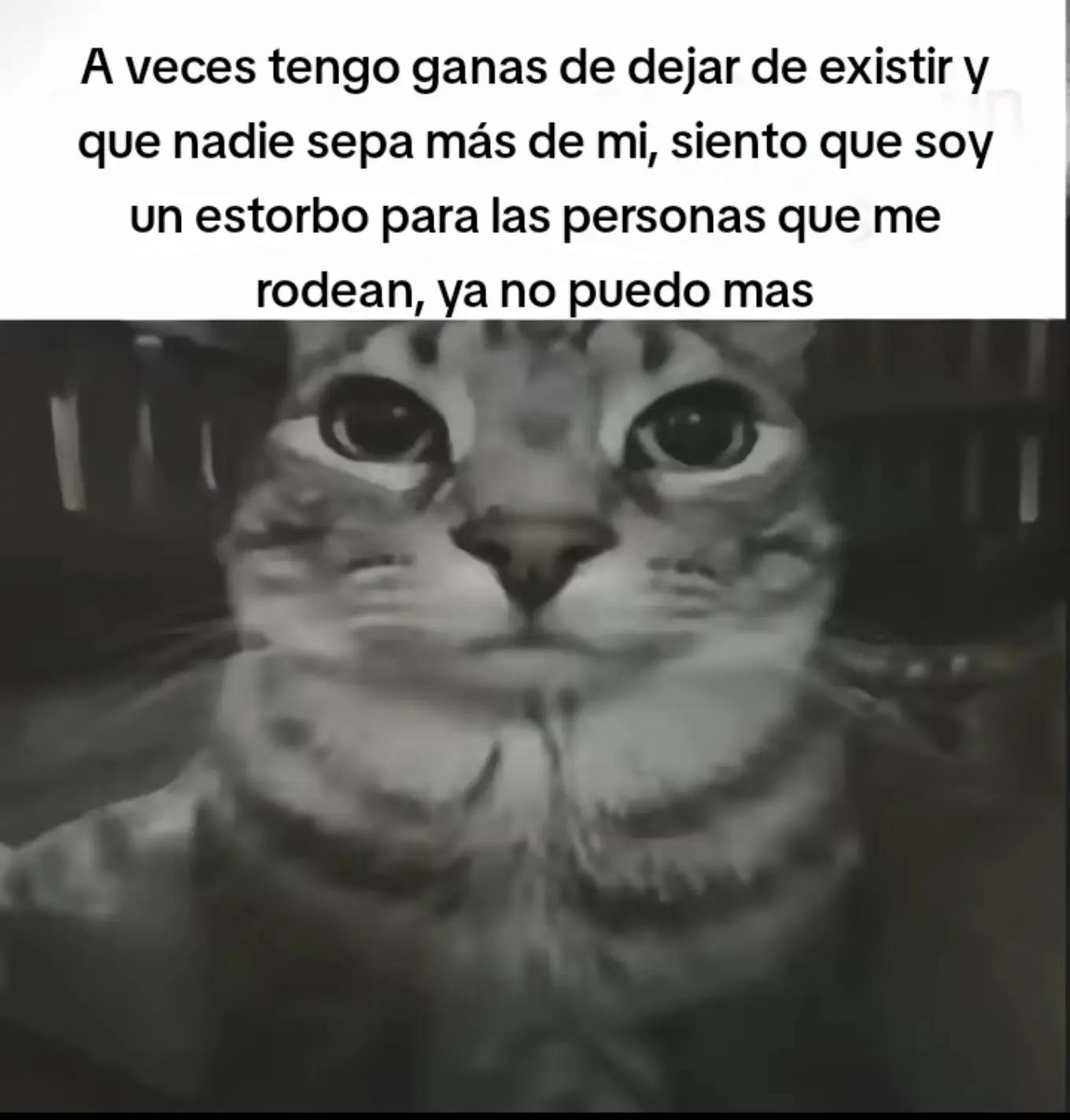 @Alexis - Kun🦇