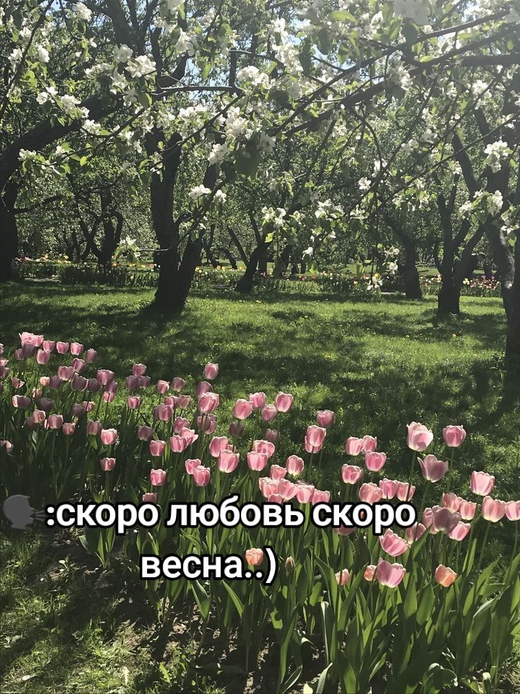 @хз
