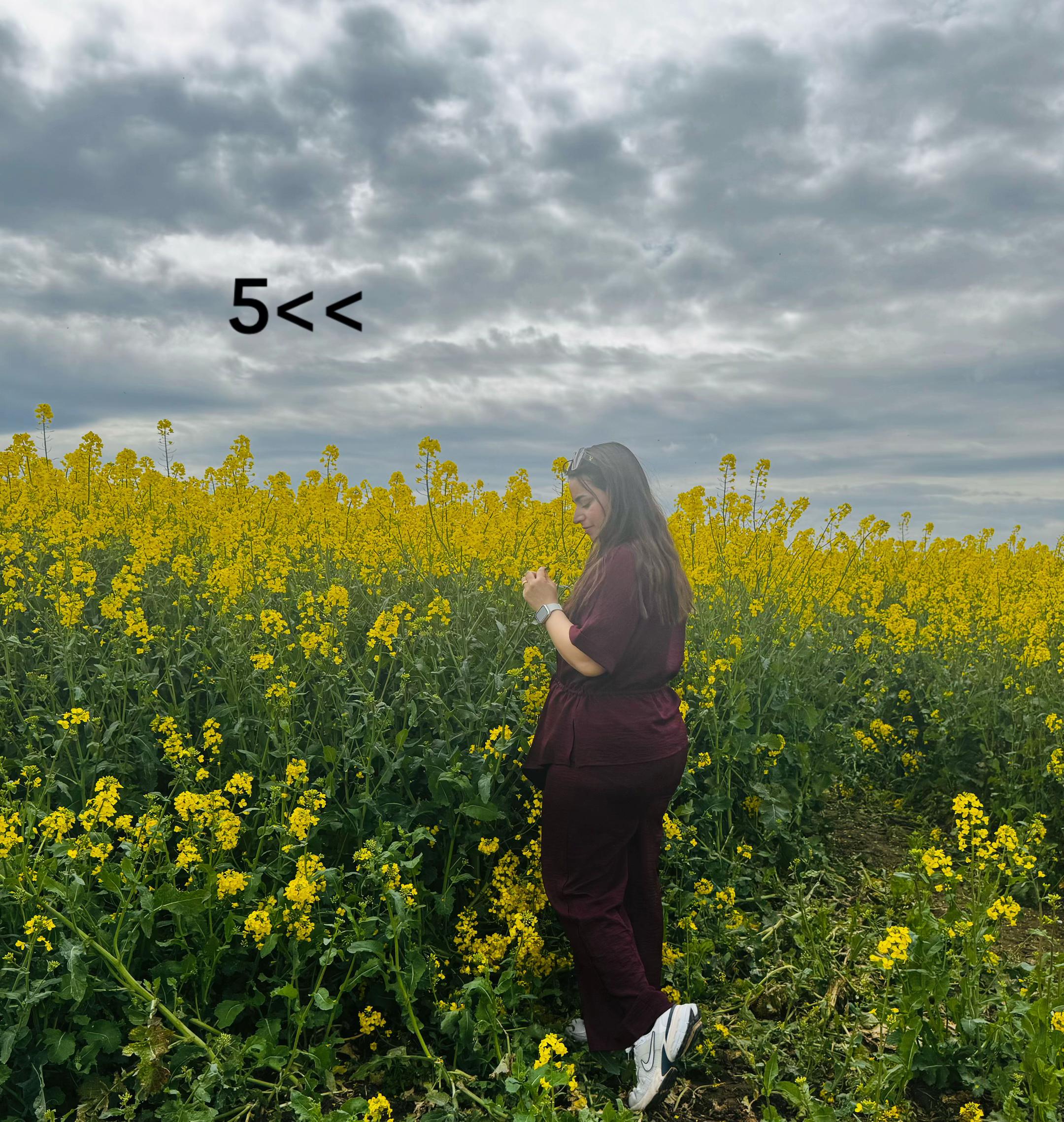 @Nisrin Afrin